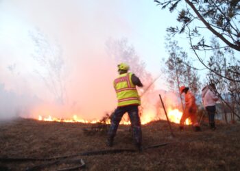 Incendio Forestal en Vereda Rincón Santo