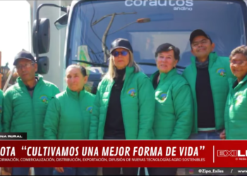 ¿Cómo funcióna un mercado movil?