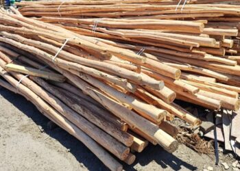 Incautan 600 varas de madera en Zipaquirá