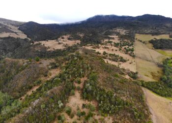 “Bolsa Común por el Agua” : Un Compromiso Regional en Tiempos de Crisis Hídrica