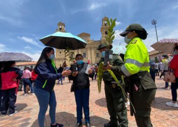 Balance positivo, incautaciones mínimas de palma de cera durante la Semana Santa 2024 y refuerzo contra el tráfico de fauna silvestre