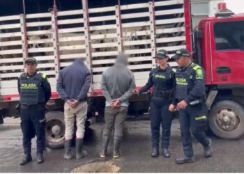 Cinco personas capturadas de una banda de abigeato que distribuía en Bogotá