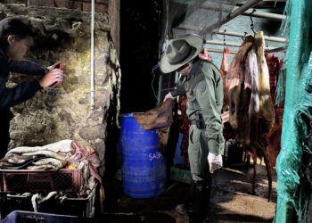 Policía de Carabineros encuentra matadero clandestino en zona rural de Zipaquirá