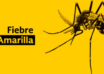 Cundinamarca declara estado de alerta para prevenir la fiebre amarilla