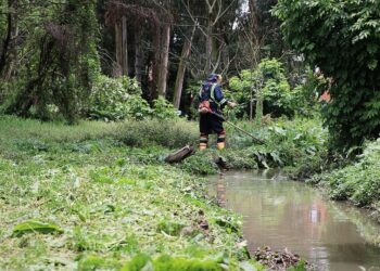 La Conciencia Ciudadana y la Protección de las Rondas Hídricas en Zipaquirá