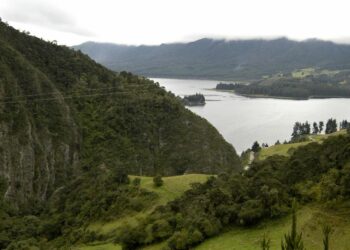 EPZ lidera estas acciones de reforestación en Páramo de Guerrero y Casablanca