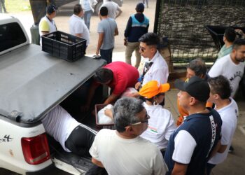 Zipaquirá extiende su mano solidaria a paratebueno tras el sismo
