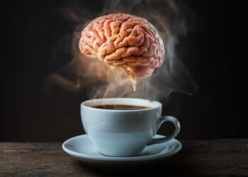 Estudio surcoreano revela que beber café mejora la función neurocognitiva del cerebro