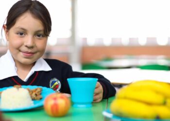 Organismos comunales de ocho municipios comienzan a capacitarse para asumir la operación del Programa de Alimentación Escolar (PAE)