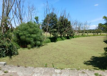 CAR suspende actividades de captación ilegal de agua en la Sabana de Bogotá