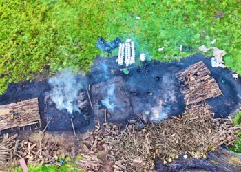 CAR detiene quemas en el páramo de Guerrero para producción ilegal de carbón vegetal