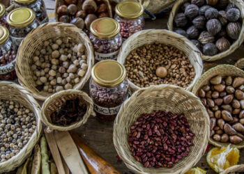 En Guachetá se conforma la red de guardianes de semillas ancestrales 