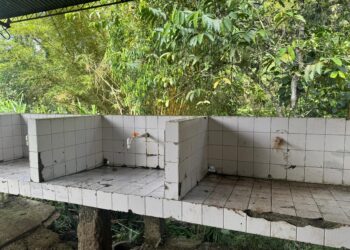 CAR materializa medida preventiva por vertimientos provenientes de sacrificio animal en Paime