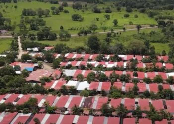 Firmantes de paz en 10 departamentos reciben $9.840 millones para proyectos productivos 