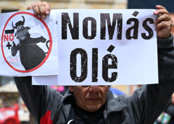 La ley No Más Olé que prohíbe corridas de toros en Colombia fue avalada por la Corte Constitucional