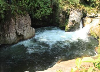 330 organizaciones comunitarias podrán postularse para recibir recursos y proteger microcuencas