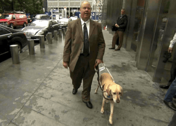 Salty, el perro que salvo a un colombiano en las Torres Gemelas