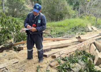 CAR y Policía Nacional fortalecen acciones para la protección del recurso flora en Cundinamarca