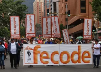 Fecode anuncia paro nacional de educadores de 24 horas 