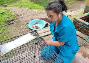 “No existe una reproducción descontrolada de perros ferales en el Embalse del Neusa”: tras la denuncia, la Gobernación de Cundinamarca responde 