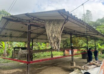 CAR ordena a matadero en Yacopí Suspensión inmediata de vertimientos ilegales