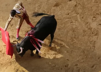 Polémica por corrida de Toros en Madrid, Cundinamarca: Alcaldía responde que “no es la encargada de brindar dichos permisos”