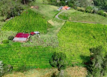 “Los que comen bandeja paisa en Bogotá deben saber que es más cundinamarquesa que paisa”: gobernador Rey