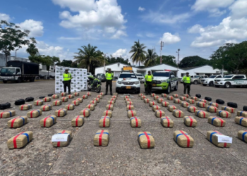 Golpe al narcotráfico: Incautan 540 kilos de marihuana en Girardot, Cundinamarca.