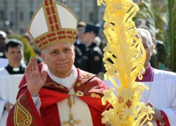 El Papa León XIV en Domingo de Ramos: “Dios no escucha a quienes tienen las manos llenas de sangre”