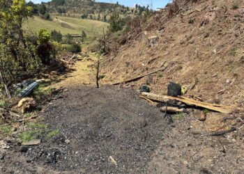 Alerta en la Cuenca Alta del Río Bogotá: CAR frena tala ilegal en reserva protegida de Chocontá