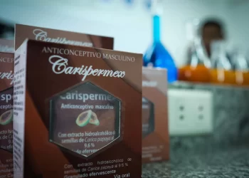 Crean  potencial innovador anticonceptivo masculino a base de semillas de papaya 