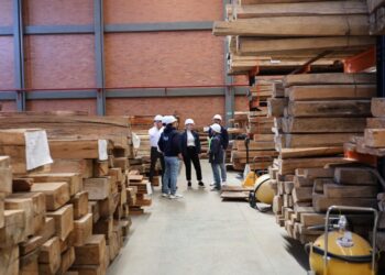 10 años de funcionamiento del CAV transformaron miles de metros cúbicos de madera decomisada en obras públicas 