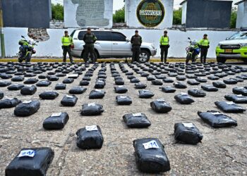 En Cundinamarca: Incautan más de 400 kilos de Marihuana en reten de la Policía