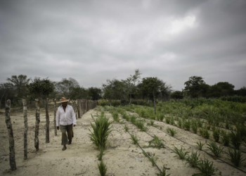 Ante la llegada de El Niño intenso autoridad ambiental pide evitar prácticas que pueden agravarlo 