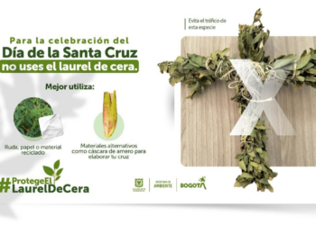 La Cruz de Mayo y el laurel de cera: entre la fe del tres de mayo y la urgencia de proteger los cerros orientales