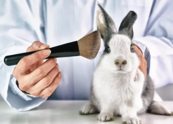 En Colombia entra en vigor nuevas disposiciones que prohíben el testeo en animales para productos cosméticos 