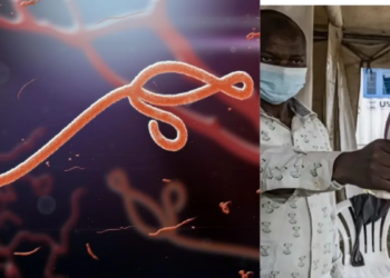 OMS declara emergencia sanitaria internacional por brote de Ébola en África central