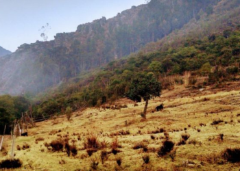 Contraloría de Cundinamarca ordenó medidas a todas las alcaldías ante el Fenómeno de El Niño