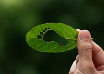 Empresas Públicas de Zipaquirá recibe reconocimiento tras reducir sus emisiones de carbono