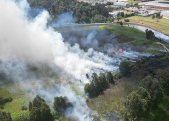 Capturan a dos personas en flagrancia tras conato de incendio que afectó cerca de 6 hectáreas en Humedal Jaboque
