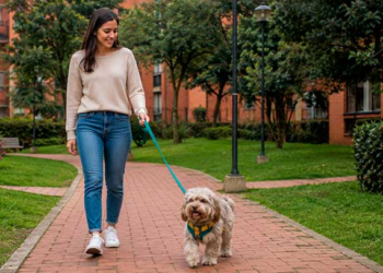 Fallo de la corte a favor de residente en Cajicá prohíbe restringir mascotas en zonas comunes