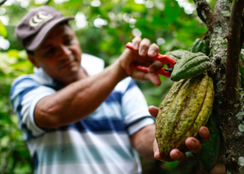 Café, cacao y caña: los sectores que marcan la ruta de la nueva Política Rural de Cundinamarca