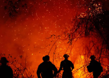 Colombia bajo los incendios, ¿Qué pasa después de apagarlos?