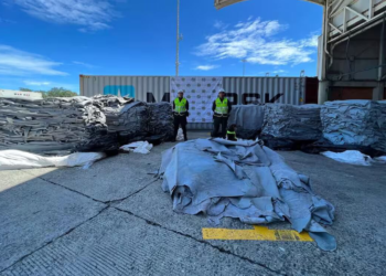 Sentenciadas tres personas, por exportación de cocaína en cuero de bovinos 
