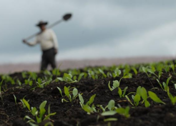 Más cerca de la legalidad: Cundinamarca continúa capacitando a la ciudadanía en rutas de formalización de predios 