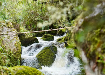 Sanciones ambientales en la Sabana de Bogotá, Ubaté y Alto Magdalena, las zonas más críticas por uso ilegal del agua