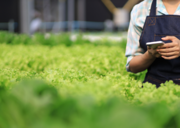 Se abre convocatorias hasta el 9 de octubre  para agronegocios sostenibles